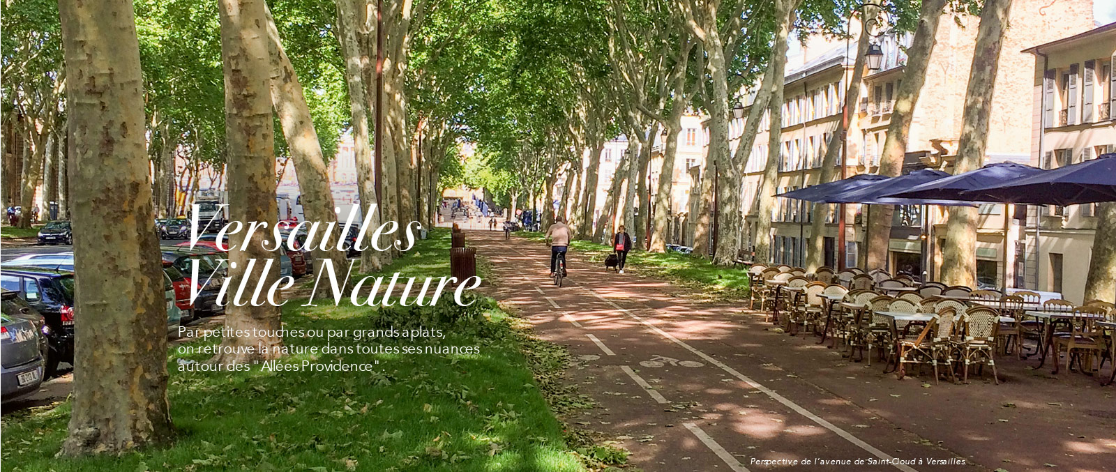 Versailles nature